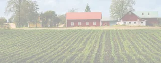 Image from Noulty Financial